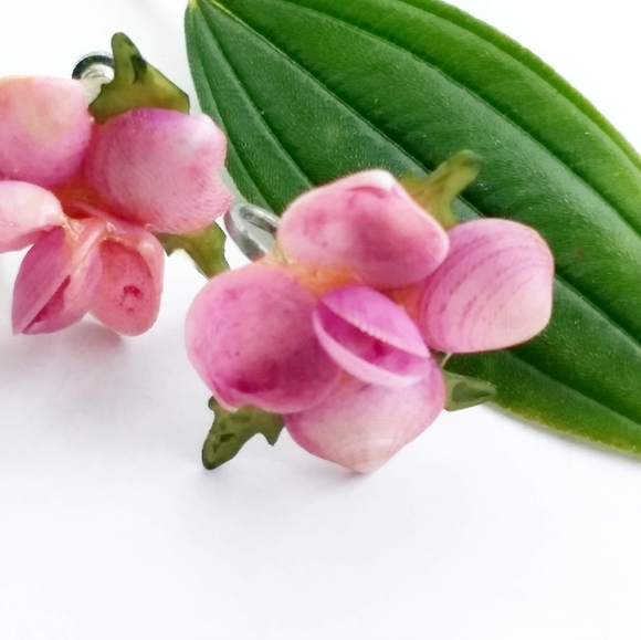 VINTAGE SHELL 1950 Delicate Natural Pink Rose Floral Screw-On Flower Earrings - Picture 4 of 6